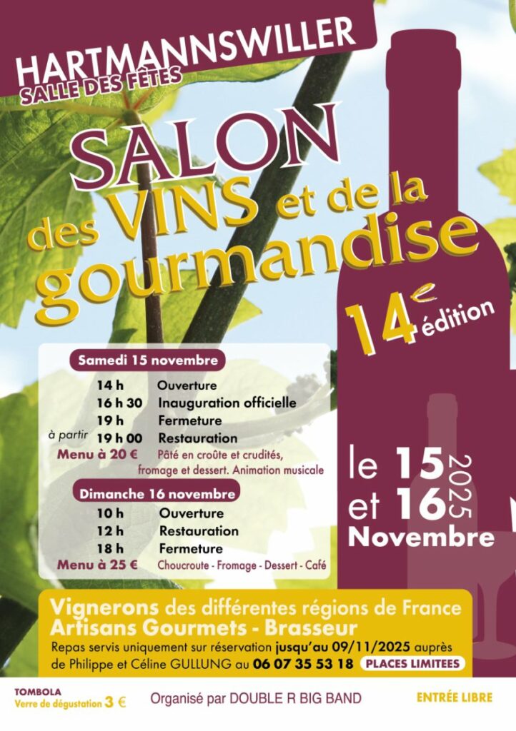 affiche du salon des vins avec une bouteille et des vignes